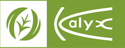 Kalyx Logo