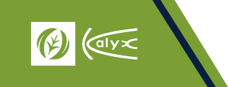 Kalyx Logo